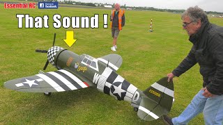 BIG MOKI 250cc RADIAL P47 JUG AND CORSAIR *AWESOME and GLORIOUS SOUND*