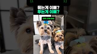 오빠 나 머리 묶는게 이뻐? 아니면 푸는게 이뻐?