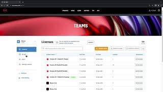 Famous Tech Tips - Teams Dashboard Overview Net Worth
