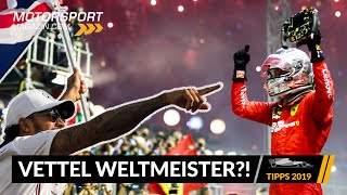 Vettel wird Weltmeister?! So daneben lagen unsere WM-Tipps – Formel 1 2019 (VLOG)