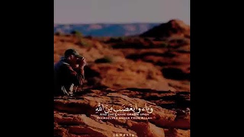 تلاوه هادئه | ارح سمعك | حالات واتس  | ايات قصيره بصوت الشيخ ناصر القطامي