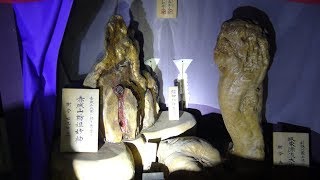 エロの秘宝館の廃墟【群馬県藤原郷精魂宮】エロい残留物多数！「男根」や「女陰」をかたどった物、「パプアニューギニア精器の信仰」のオブジェ、「聖酒慈母観音」などが展示。館長は隣接するホテルと同じ。