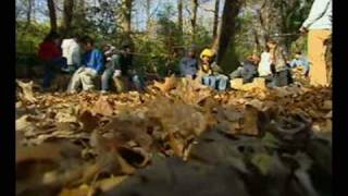 Spotlight on Learning: Hollin Meadows Science Focus Program