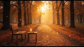Autumn Park Ambient Piano 🍂 | Relax, Study & Sleep Music screenshot 1