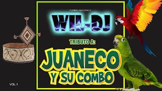 98 - MIX JUANECO Y SU COMBO - WIL DJ - WILDER TUCTO CÁRDENAS