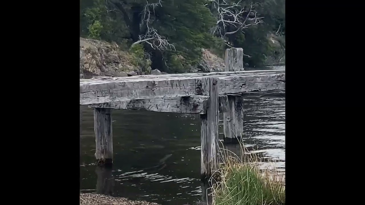 Lake Mascardi Bariloche