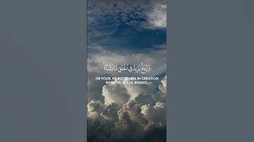 الحمد لله فاطر السماوات و الارض  سورة فاطر ياسر الدوسري  #المصحف #سورة #quran#yasseraldossary