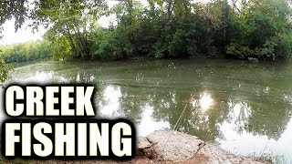 Creek Fishing From the Bank With 1 Inch Minnows!