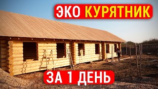 видео: Лучший в мире курятник за 1 день! ЭКО Курятник для получения этических БИО ЯИЦ и долгой жизни КУР! картинка: Лучший в мире курятник за 1 день! ЭКО Курятник для получения этических БИО ЯИЦ и долгой жизни КУР!