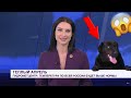 Fails con Animales en la Televisión en Vivo🔥🙈