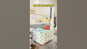 Robot palletizing!So fast!😎#stacking #columnpalletizer #palletizer #depalletizer