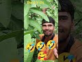 Funny Ystudio Youtube Video Funny Ystudio Youtube Video