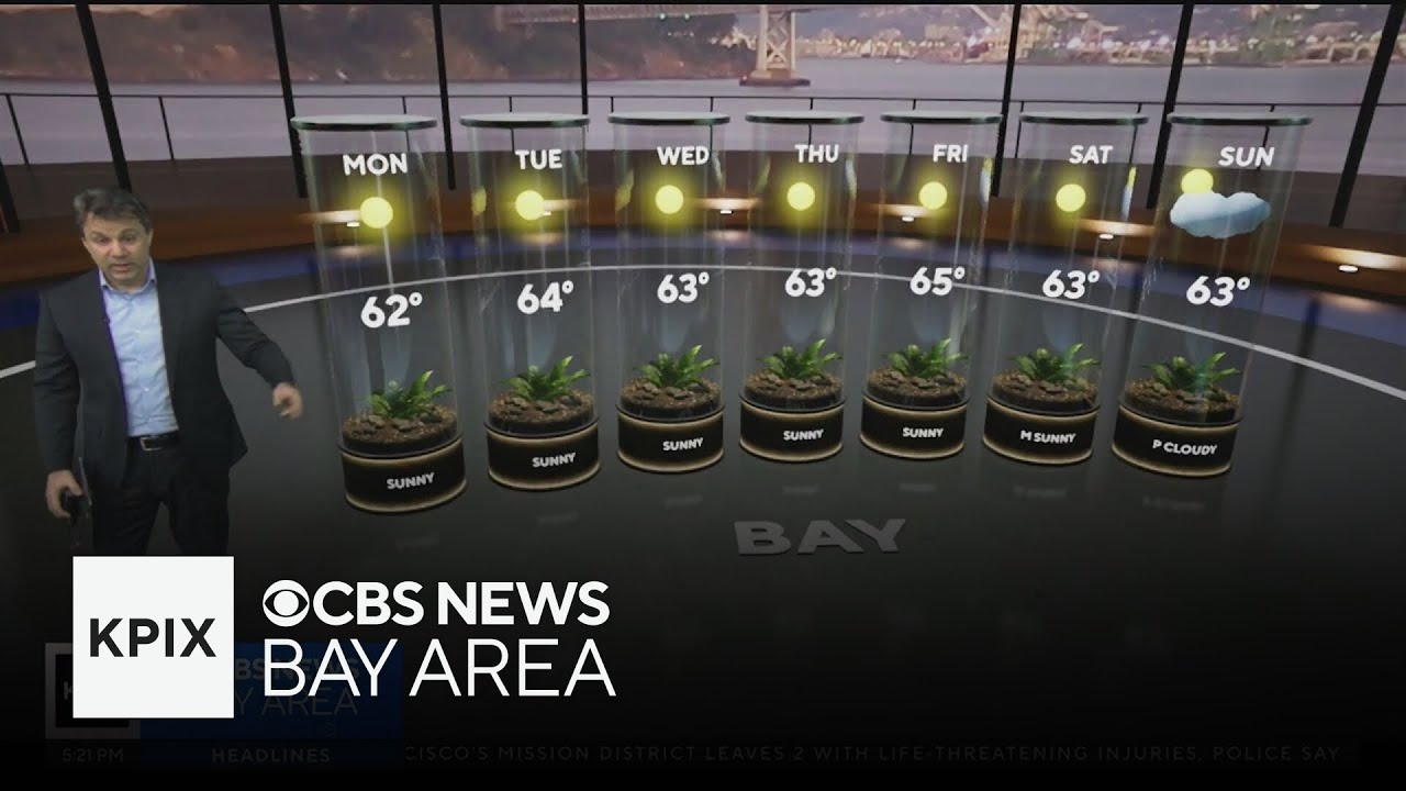 First Alert Sunday evening weather forecast - 1/11/2026