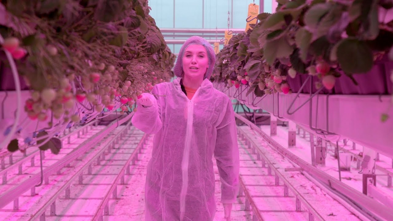 Fish Poo and LED Lights. Is this the future of food?! | Living Off Grid with Maddie Moate - YouTube
