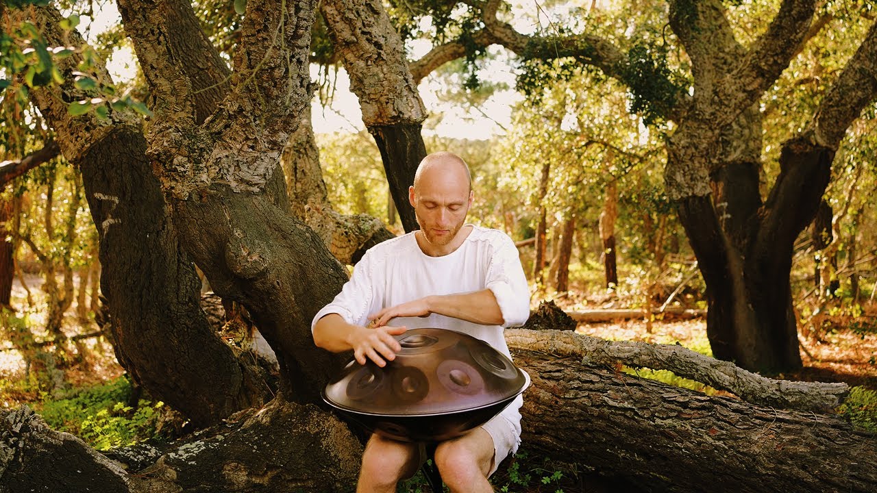 Wisdom Of The Trees | 1 hour handpan music | Malte Marten