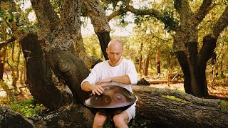 Wisdom Of The Trees | 1 hour handpan music | Malte Marten by Malte Marten Method 73,553 views 5 months ago 1 hour, 3 minutes