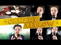 HAKEN - Canary Yellow - ACAPELLA + DRUMS Cover