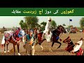 Fastest Horse Racing Ever | Amazing Speed Race 2026