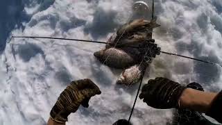 рыбалка на хапугу 2024. рыбалка на карася #рыбалка #амур #fishing #хапугитрещят