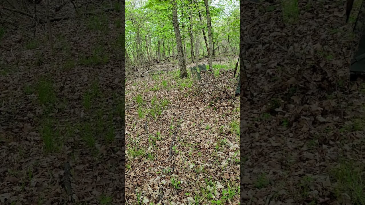 ghost blind field test 2021