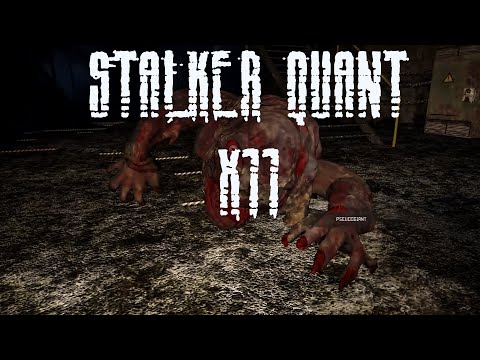 Лаборатория X11 | STALKER QUANT PVE