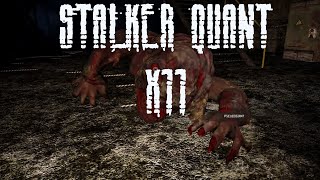 видео: Лаборатория X11 | STALKER QUANT PVE картинка: Лаборатория X11 | STALKER QUANT PVE