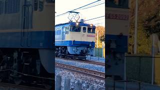 EF652092 タキ　電機機関車　国鉄　特急色　高崎線　2023年12月23日
