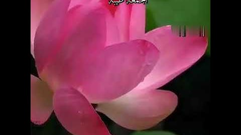 دعاء يوم الجمعه جمعه مباركه ولا تنسوا قراءه سوره الكهف
