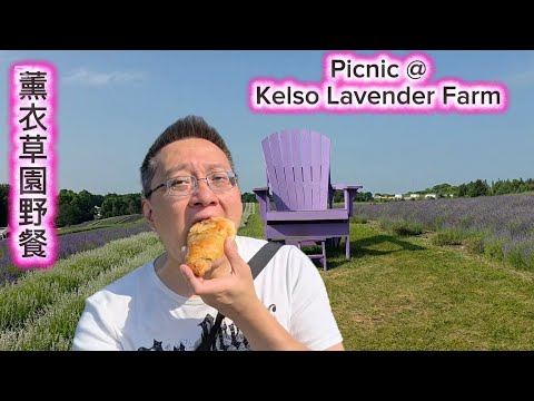 薰衣草園野餐  (Kelso Lavender Farm @ Milton) 原來加拿大安省有好好吃的 Jimmy & Good Eats in Ontario Ep.634