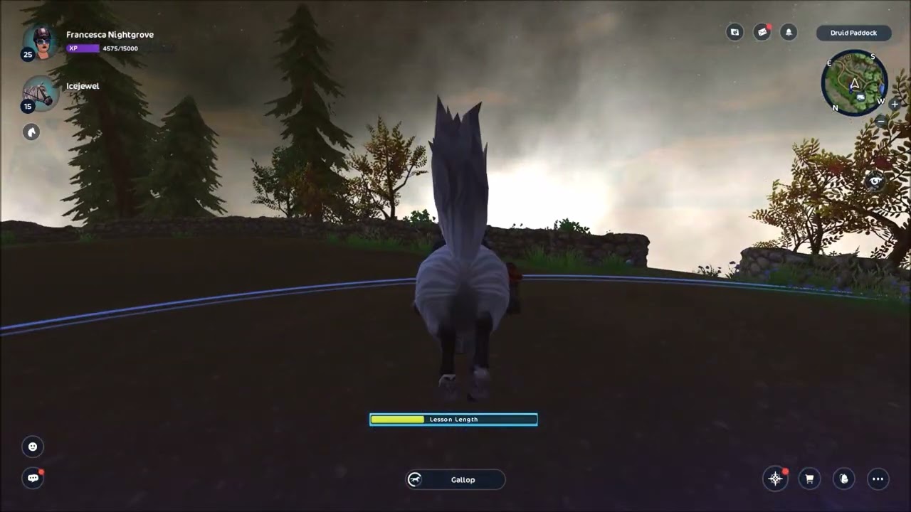 Day 67 Of Druid Training!! // Star Stable Online