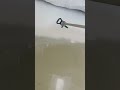 Spray triple prep