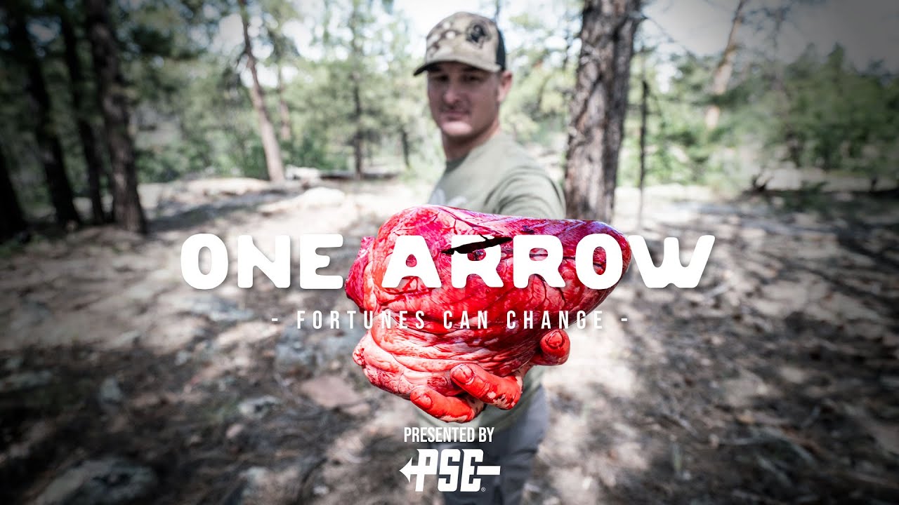 One Arrow 2021 New Mexico Archery Elk Hunt YouTube