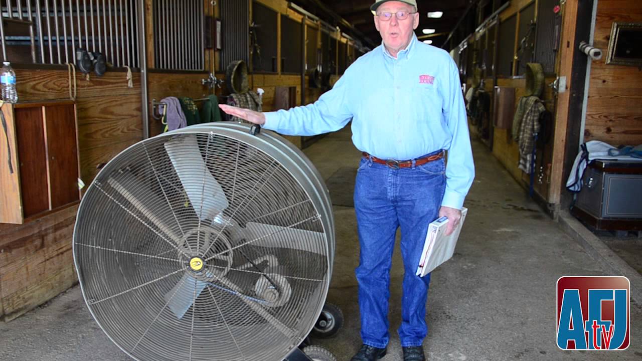 Coping With Stable Flies: The Use Of Fans