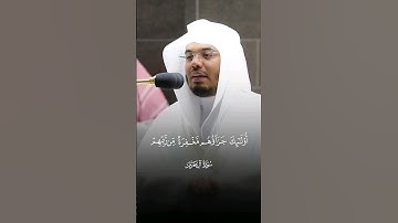 #ياسر_الدوسري #سورة_آل_عمران #قرآن #القرآن_الكريم #تلاوة_خاشعة