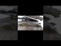 🏔️ Mountain: The Highland Chill (Alpine Peak ASMR)