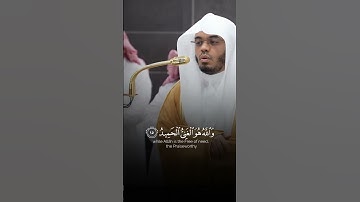 تلاوة من سورة فاطر | الشيخ ياسر الدوسري