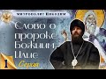 Слово о Пророке Божиим Илие. Часть 1-я. Митрополит Никодим