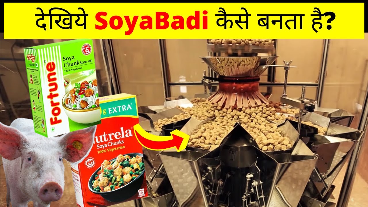 😱💥 देखिये Soya Badi कैसे बनता है? Soyabean Badi Kaise Banti Hai Soya