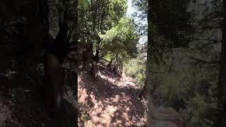 Walking in the Holy Valley: Qannoubine