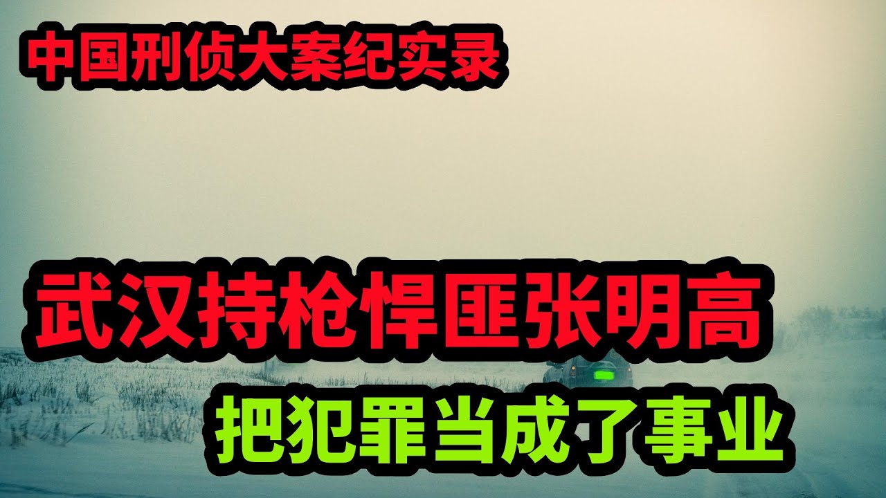 中国刑侦大案纪实录，武汉持枪悍匪张明高，把犯罪当成了事业
