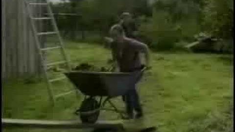 Woman + wheelbarrow + plank + cow manure