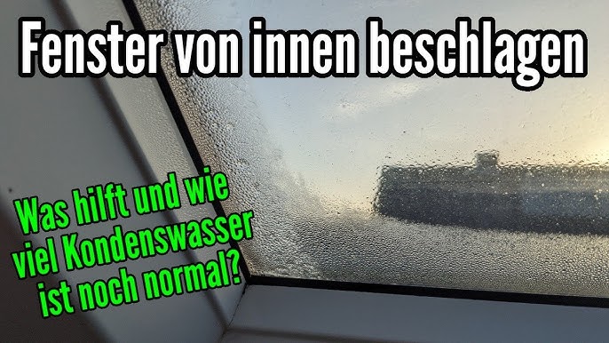 Autoscheibe beschlägt von innen: ADAC-Trick wirkt Wunder