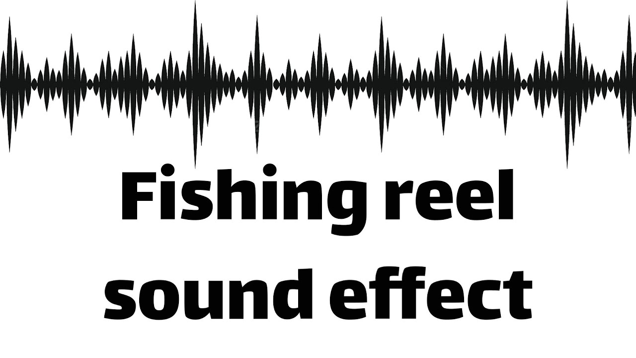 Guarda Fishing reel sound effect (no copyright) su YouTube Guarda Fishing reel sound effect (no copyright) su YouTube