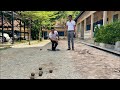 Pétanque de pointing #volleyballworld #volleyballteam #volleyballlife #volleyballgame
