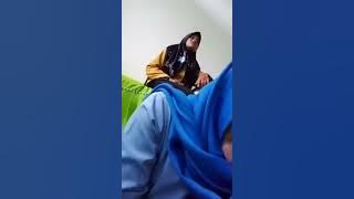 Live jilbab cantik ga nyadar yang belakang lagi colmex