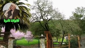 جمال التلاوة للشيخ عبدالباسط عبدالصمد ( قَالَ قَآئِلٌ مِّنْهُمْ لَا تَقْتُلُواْ يُوسُفَ )