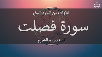 41 | سورة فصلت | السديس و الشريم