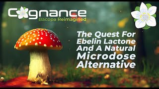Cognance - Bacopa Reimagined | The Quest For Ebelin Lactone And A Natural Microdose Alternative