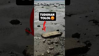 Makam Dengan Kisah Yang Menyedihkan Di Skotlandia #sejarah #faktamenarik #faktaunik