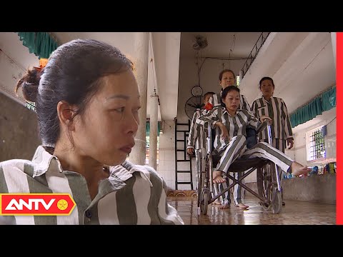 Video Hành trình đánh thức 
